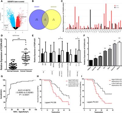 Corrigendum: LncRNA FOXP4-AS1 promotes the progression of esophageal squamous cell carcinoma by interacting with MLL2/H3K4me3 to upregulate FOXP4